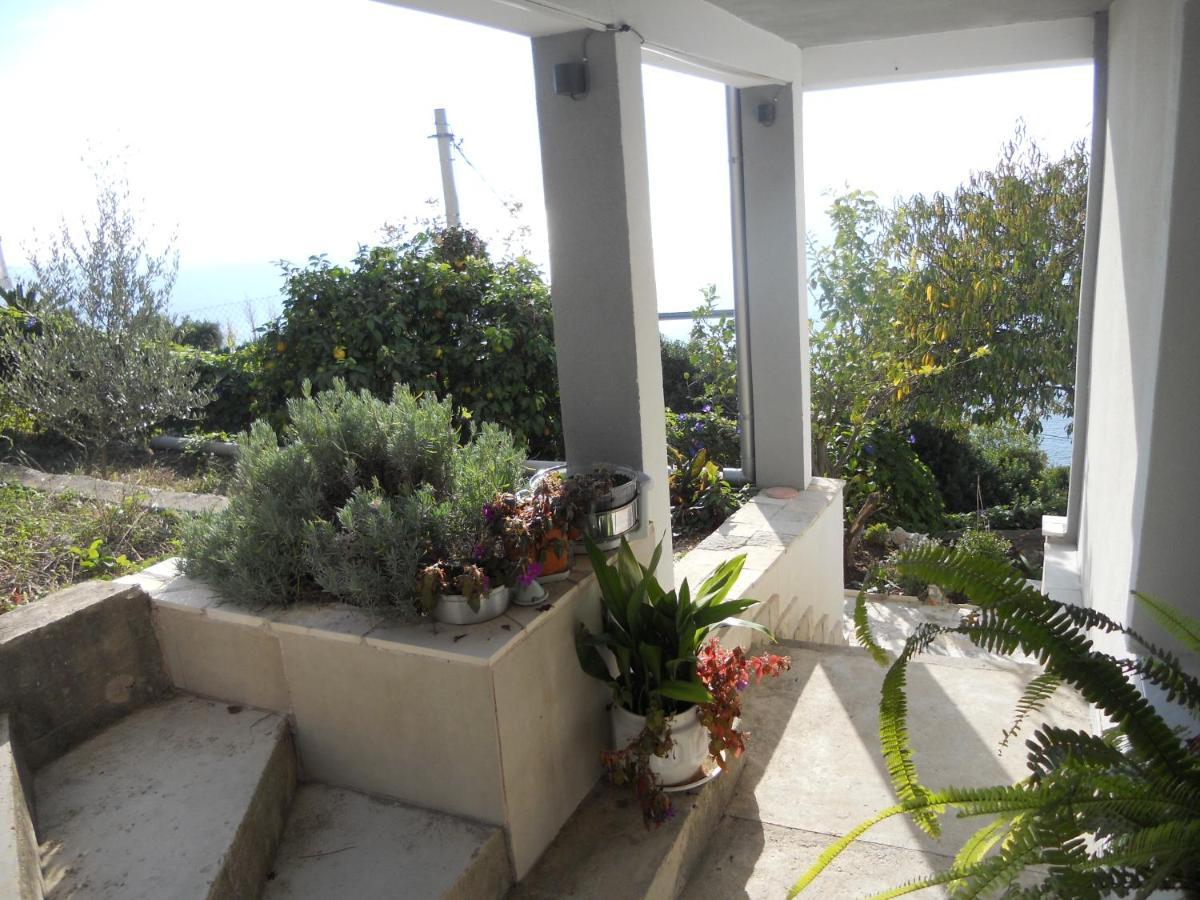Blue Horizon Apartment Dobra Voda Ngoại thất bức ảnh